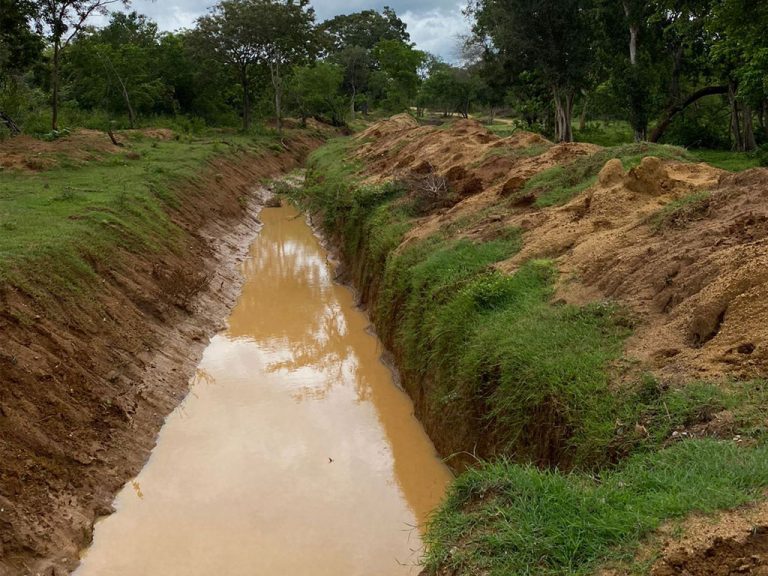 අලි-මිනිස් ජීවිත වනසන අලි අගල් ප්‍රෝඩාව පිටුදකිමු !