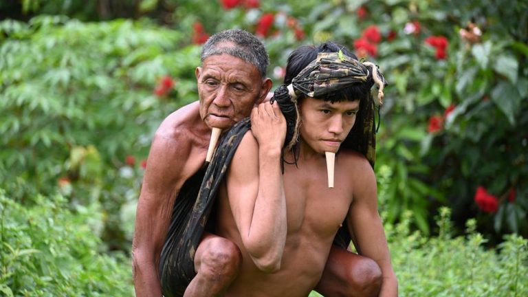 ඇමසන් එන්නත්කරණයේ සසලවන දසුන්