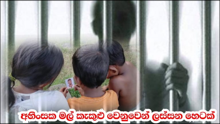 හෙට දවස