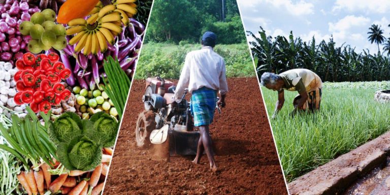 කෘෂිකර්මාන්තයේ නව නැම්මක් ?