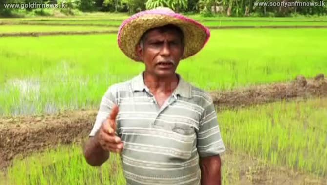 ගොවියන්ට වන්දි