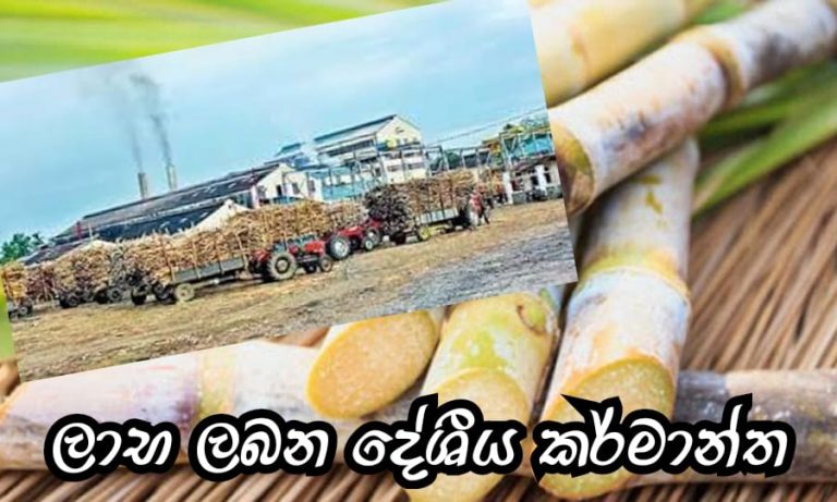 ලාභ ලබන සීනි කම්හල්