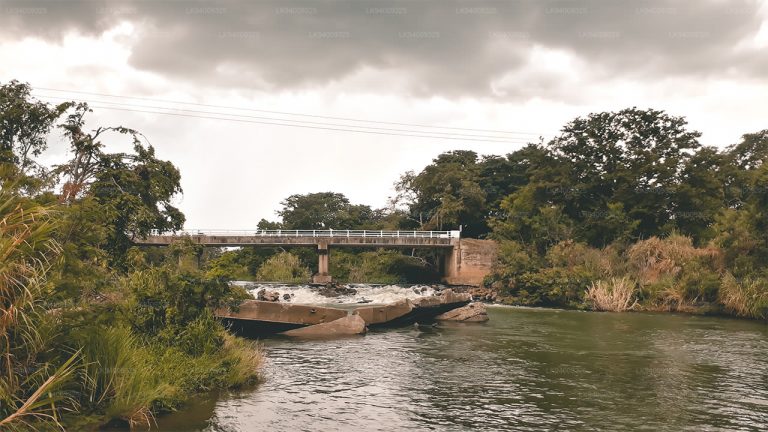 කාට කාටත් දෙවියන්ගේ පිහිටයි