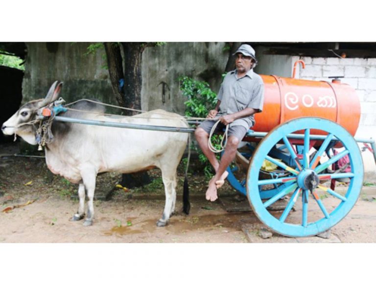 භූමිතෙල් කරත්තවලට නම් හොඳ කලක් උදාවෙයි (Video)