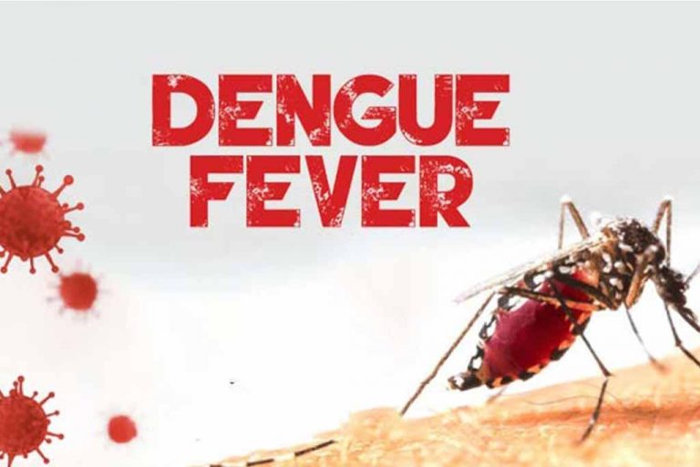 ඩෙංගු රෝගීන් ආවේක්ෂණය කිරීමේ නව පද්ධතියක් අද (28) සිට