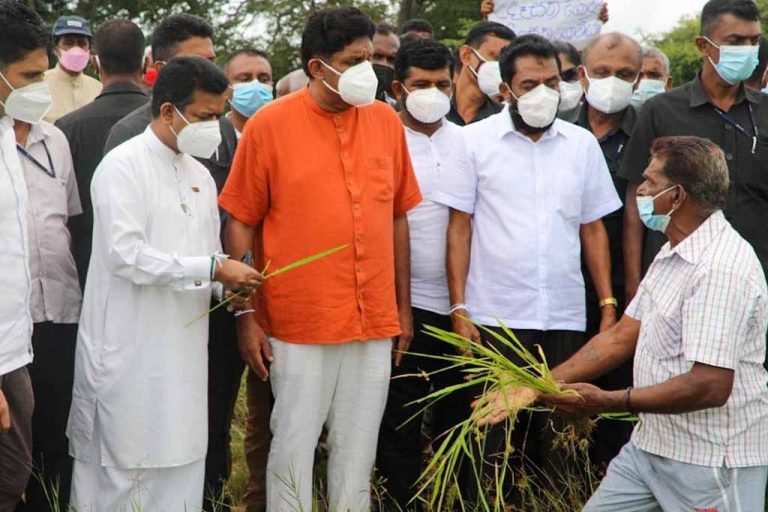 සජබ රජයක් යටතේ පුරුදු විදිහටම පොහොර දෙනවා – සජිත්ගෙන් ගොවීන්ට පොරොන්දුවක් (VIDEO)