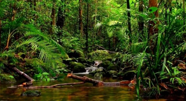 ආණ්ඩුව පරිසරය සුරක්ෂිත කරයි ද?