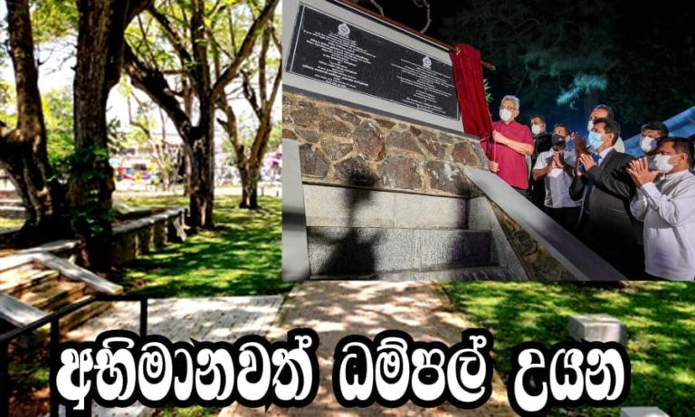 අභිමානවත් ධම්පල් උයන