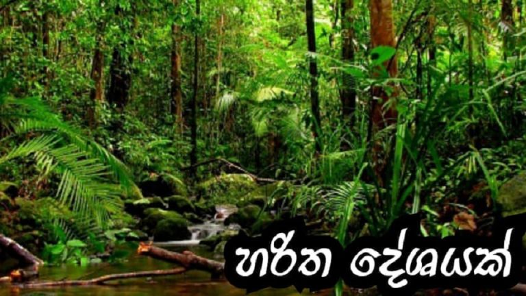 හරිත දේශයක් ගොඩනගමු
