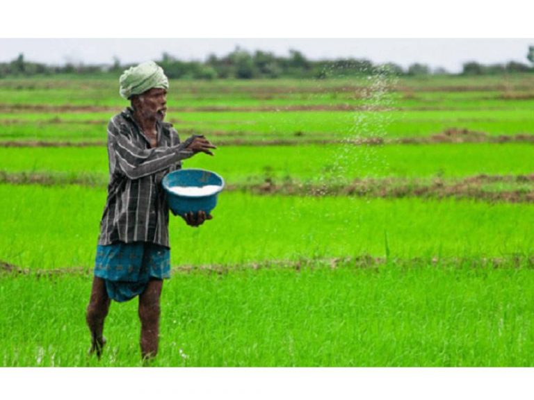 යූරියා හොන්ඩරයක මිල 20000 යි – හිටපු කෘෂිකර්ම අධ්‍යක්ෂ