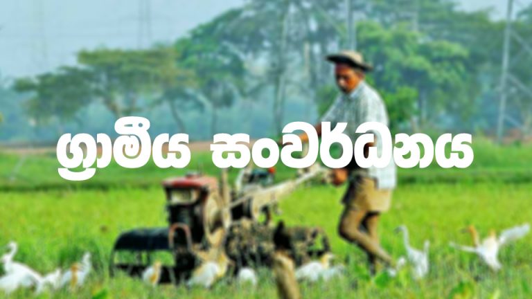 ග්‍රාමීය සංවර්ධනයට රජයෙන් බිලියන ගණනක මුදල් වෙන් කෙරෙයි
