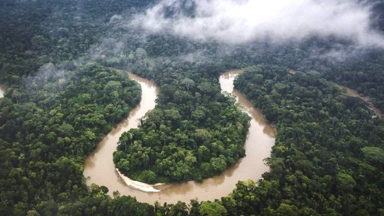 ඇමසන් අවදානම් තත්වයක