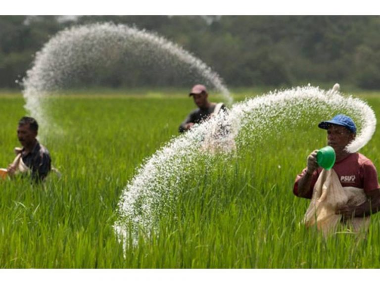 බන්ඩි පොහොර ටොන් 38,500 ක් ආනයනට කැබිනෙට්ටුවේ අනුමැතිය