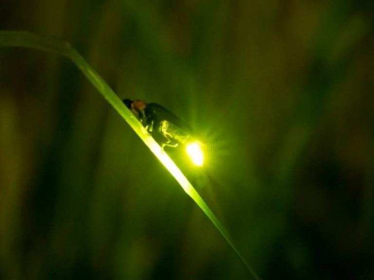 අදත් පැය 16 හමාරක් රටටම විදුලිය