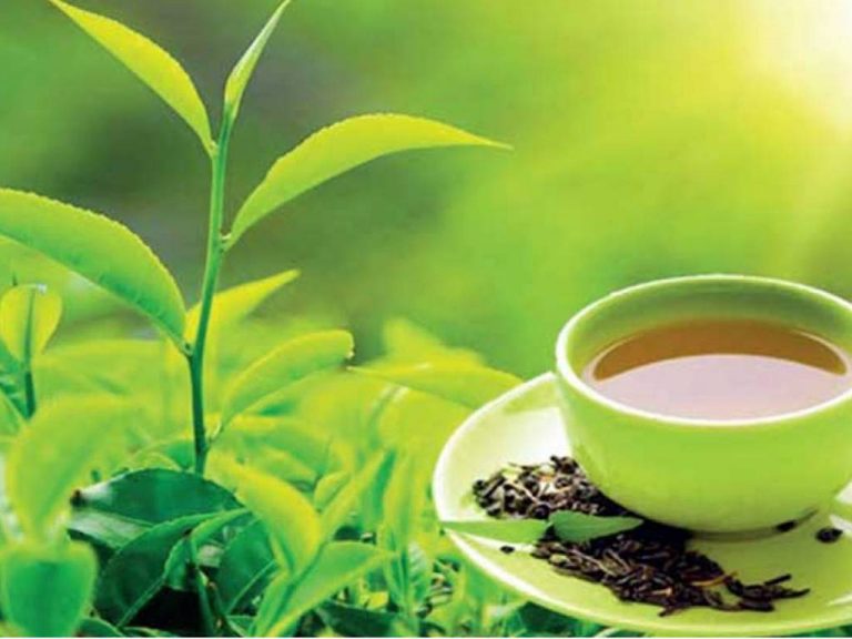 සිලෝන් ටී කොලිටිය බැහැලා – විදෙස් ඇනවුම් රැසක් ඉන්දියාව ඩැහැ ගනී !
