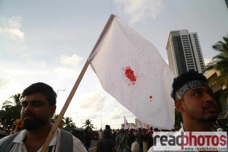ඝාතනය වූ ලක්ෂාන් වෙනුවෙන් අරලියගහ මන්දිරයේ එසවුණු සුදුකොඩි! (VIDEO)