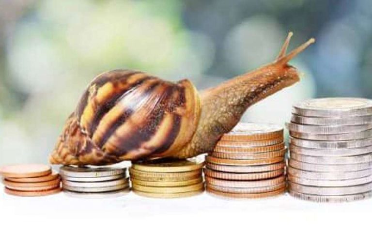 රජය ආදායම් වැඩි කරගන්න යන්නේ කොහොමද ?