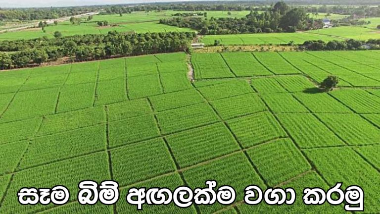 සෑම බිම් අඟලක්ම වගා කර​මු
