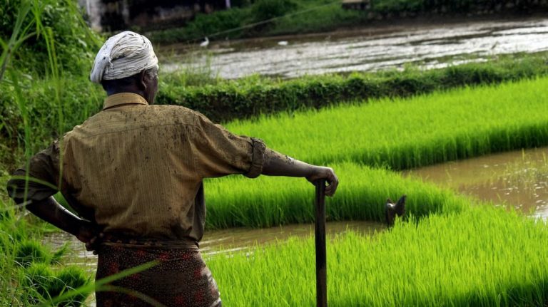 අවදානමට පෙර සූදානම