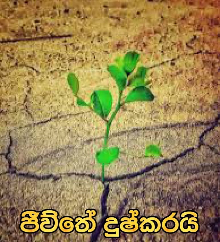 දුෂ්කරයි ජීවීතේ !