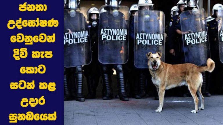 ජනතා උද්ඝෝෂණ වෙනුවෙන් දිවි කැප කොට සටන් කළ උදාර සුනඛයෙක්