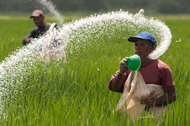 මහ කන්නයට බණ්ඩි පොහොර මිලදී ගැනීමට ADBයෙන් රුපියල් කෝටි 1000ක්