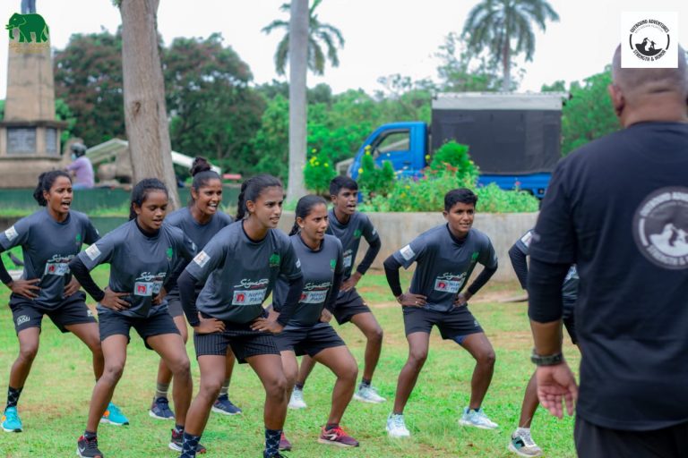 රගර් තැබූ අලුත් ට්‍රයි එක