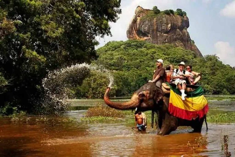 ශ්‍රී ලංකාවට එන සංචාරකයින් ප්‍රමාණය දිනපතා නිවේදනය කරයි