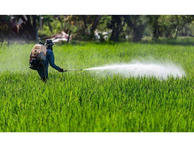 මෛත්‍රීගේ ග්ලයිපොසේට් තහනමත් රිවස් වෙයි