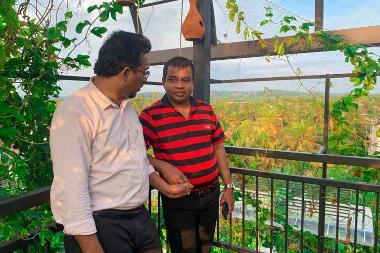 සුනිල් හඳුන්නෙත්ති කියන හතරවැනි තට්ටුවේ එළවලු වගාව