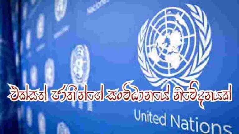 එක්සත් ජාතීන්ගේ සංවිධානයේ නිවේදනයක්