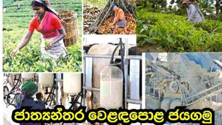 තරඟකාරී ජාත්‍යන්තර වෙළඳපොළ ජයගැනීමට දේශීය කර්මාන්තකරුවන්ට අවස්ථාවක්
