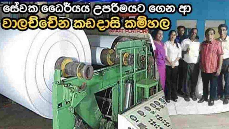වාලච්චේන කඩදාසි කම්හලේ සේවක සේවිකාවන්ගේ ධෛර්යය