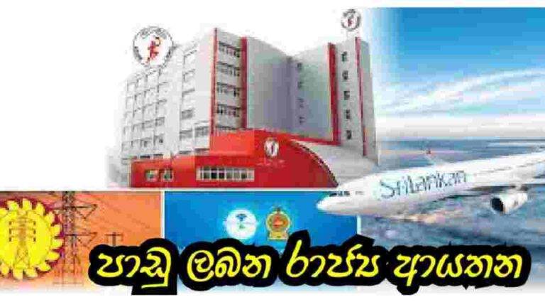 පාඩු ලබන රජයේ ප්‍රධාන ආයතන