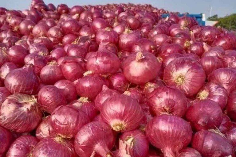 ලොකු ළූණු මිලට සහනයක් ….