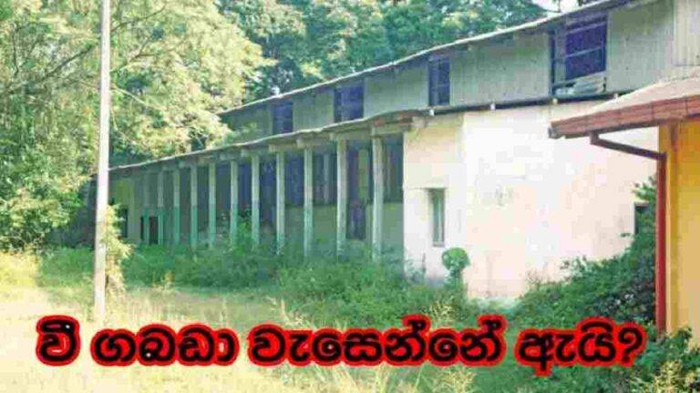 රජය ඉදිකළ වී ගබඩා භාවිතයට නොගන්නේ ඇයි?