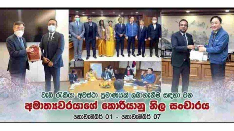 තරුණ ප්‍රජාවට විදෙස් රැකියා