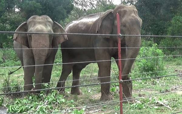කෝටි 97ක් වතුරේ…