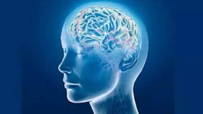 Intelligence