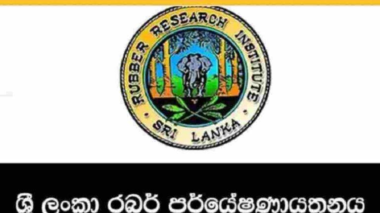 රබර් වගාව ආශ්‍රිත වල් පැළෑටි වලින් අලුත් වැඩක්..
