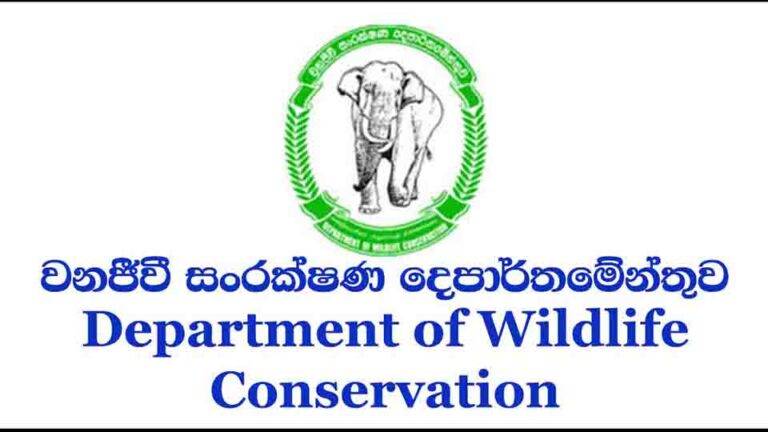 වනජීවී දෙපාර්තමේන්තුව දඩ මුදල්වලින් ම විශාල ආදායමක් උපයලා!