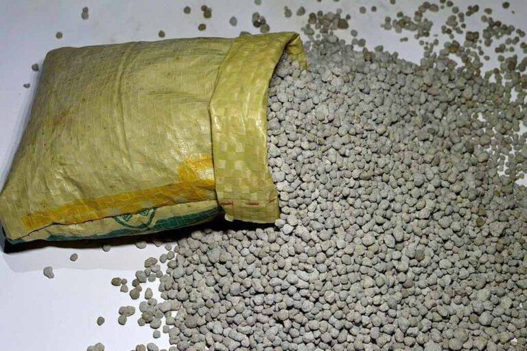 ලබන කන්නයේදී වී ගොවීන්ට මඩ පොහොර නොමිලේ