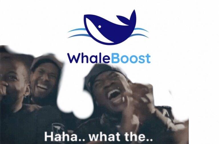 WhaleBoost වෙරළට ඇවිත් රැල්ලට ගහගෙන ගියා වගේ!