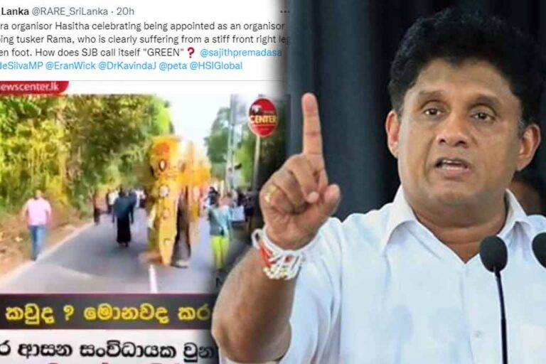 ආබාධයක් සහිත ඇතෙකු පෙරහැරේ ගෙනගිය මහර සංවිධායකට සජිත්ගෙන් තරයේ අවවාද