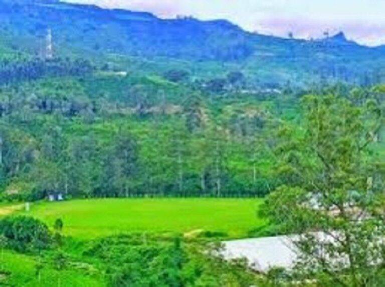 රඳැල්ල මේ රටේ ක්‍රිකට් උප සංස්කෘතියක ආරම්භයක් විය යුතුයි.