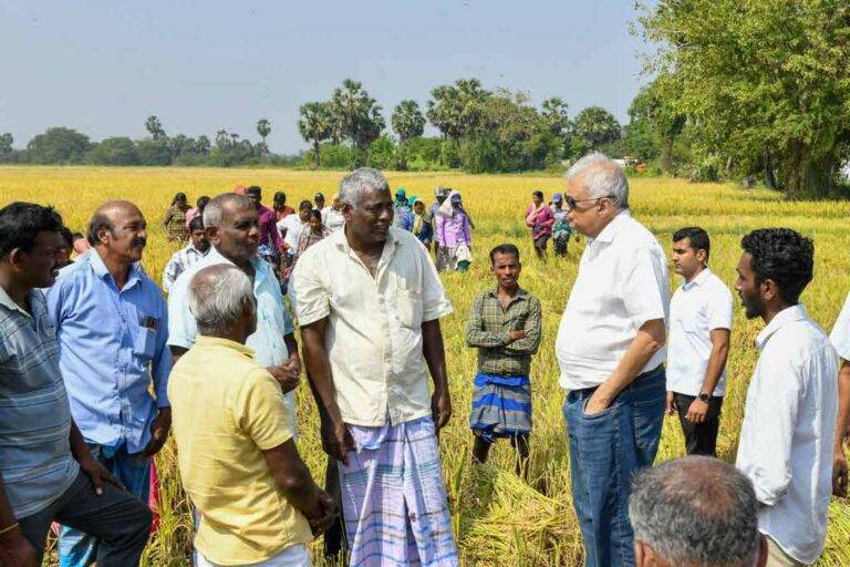 ජනපති රනිල් යාපනේ ගොවීන්ගේ ගැටලු විමසයි. වී කිලෝවකට රු. 100ක සහතික මිලක්