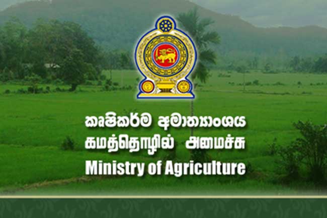 මඩ පොහොර ප්‍රමාණයෙන් 25% පමණ මේ වනවිට බෙදා අවසන් – කෘෂිකර්ම අමාත්‍යාංශය
