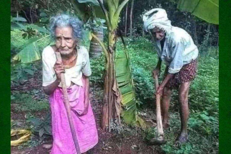 වඩ වඩාත් මිනිස් වෙමු ….