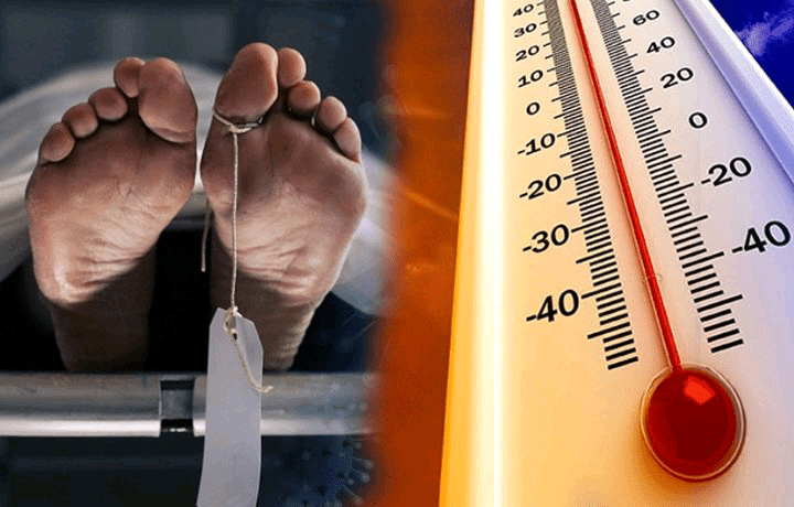 උෂ්ණත්වය දරාගත නොහැකිව මියගිහින්