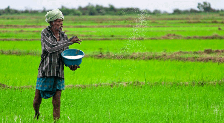 ගොවීන්ට රුපියල් 20,000 ක කූපන් පතක්